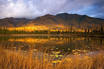 Autumn Mountains, autumn, beautiful, mountains HD wallpaper