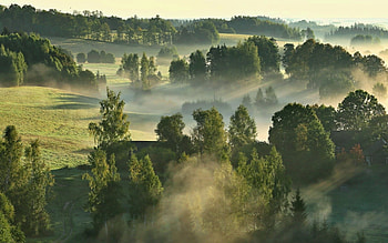 Hills of Latvia, trees, mist, Latvia, hills HD wallpaper