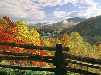 Nature, Trees, Autumn, Colors, Color, Fence, Logs HD wallpaper
