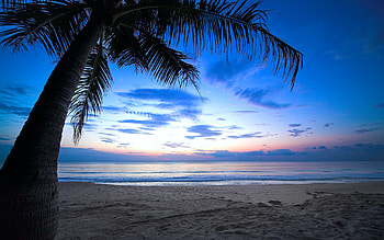 Caribbean Night Sky | cloudy sky weeping palm tree tropical sunset caribbean ocean . HD wallpaper