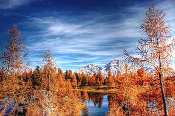 Dolomites, mountains, forest, lake, clean sky, autumn HD wallpaper