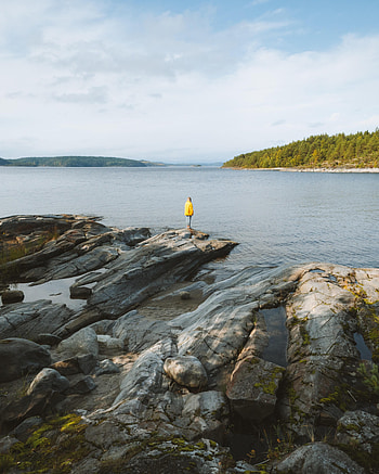 Rocks, Miscellanea, Miscellaneous, Forest, Human, Person, Loneliness HD phone wallpaper