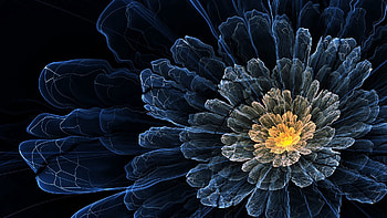 Abstract, Background, Flower, Shine, Light, Form HD wallpaper