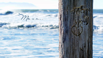 forever love, abstract, love, tree HD wallpaper