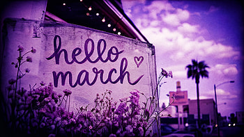 Hello March — Spring, Sign, Flower, Palm Tree HD wallpaper