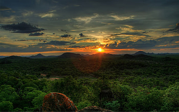 Forest sunset, African sunset, Serene beauty, Nature's masterpiece HD wallpaper