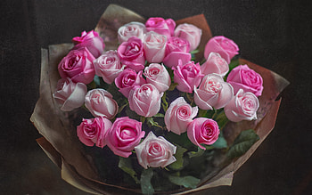bouquet of pink roses, painted bouquet, roses, beautiful flowers, drops of water on petals, pink roses HD wallpaper