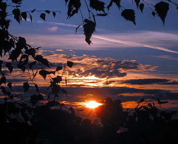 Early morning, sunshine, graphy, sunsets, tree, summer, dawn, clouds, nature, sky, sun HD wallpaper