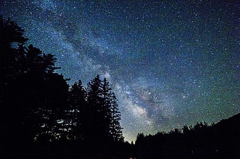 Trees, Dark, Starry Sky, Galaxy HD wallpaper