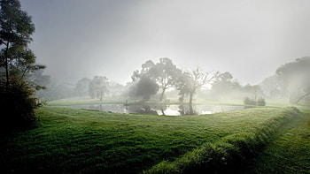 Nature, Water, Trees, Summer, Fog, Morning, Cool, Pond, Basin, Coolness HD wallpaper