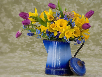 Plants, Flowers, Bouquets HD wallpaper