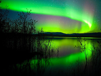 Green Lights, Green, Stars, Northern Lights, Nature, Sky, Aurora HD wallpaper