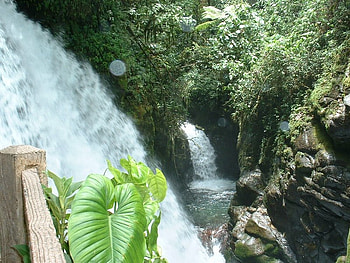 La Paz, Costa Rica, falls, trees, water, rock HD wallpaper
