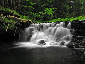 Adams Creek Falls, falls, trees, water, forest HD wallpaper