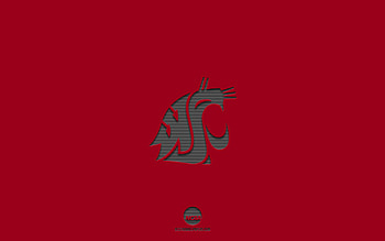 Washington State Cougars, burgundy background, American football team, Washington State Cougars emblem, NCAA, Washington, USA, American football, Washington State Cougars logo HD wallpaper