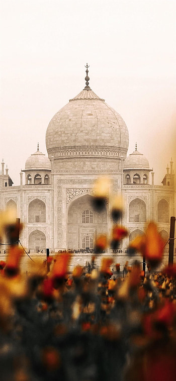 Taj Mahal, Majestic marble marvel, Agra's gem, Symbol of love HD phone wallpaper