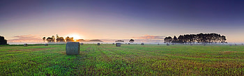 Sunlight landscape sunset, Grass sky field, Sunrise evening morning, Mist horizon panorama HD wallpaper