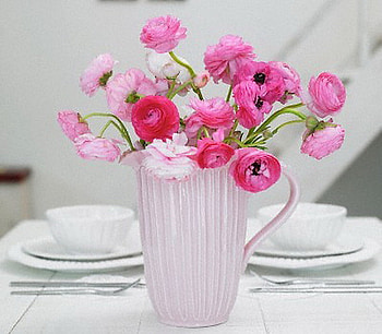 Table dressing, table, pink, pitcher, flowers, spring HD wallpaper