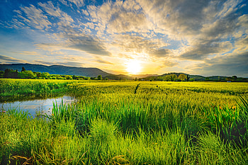 landscape, sunset HD wallpaper