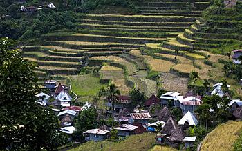 Banaue village, Traditional houses, Batad rice terraces, Ifugao province HD wallpaper
