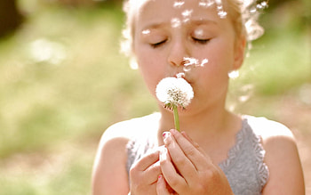 Flower, Miscellanea, Miscellaneous, Girl, Face, Stalk, Stem, Dandelion HD wallpaper