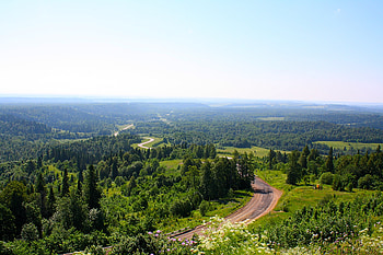 Landscape, Nature, Trees, Road, View, Clear, I See, From Above, Above HD wallpaper