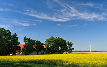 Landscape, Fields, Sky HD wallpaper