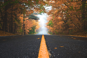 Alone Road Autumn , road, autumn, graphy HD wallpaper