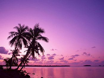 nature, world HD wallpaper