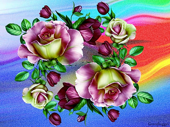 ROSES ON A RAINBOW, ROSES, CREATION, ABSTRACT, RAINBOW HD wallpaper