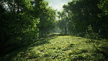 Unreal Engine 4 art, Wild oak trees, Artistic marvel, Captivating visuals HD wallpaper