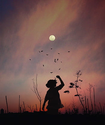 A captivating silhouette of a person at twilight with birds flocking against a colorful sky. HD phone wallpaper