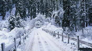 fantastic snowy bridge, winter, wood, bridge, forest, stream HD wallpaper