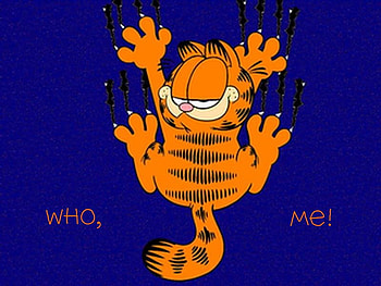 Gardfield, cat, animate, boy, beauty HD wallpaper