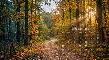 September 2026 — Autumn Trail Calendar HD wallpaper