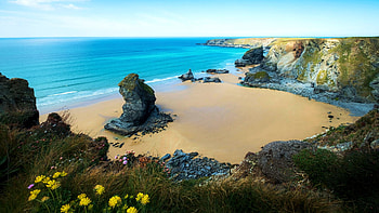 Bedruthan Steps in Cornwall on a perfectly clear day, sea, sand, sky, flowers, rocks HD wallpaper