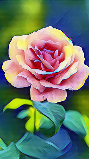 Flower, flower painting, flower HD phone wallpaper