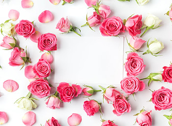 Happy Valentine's Day!, valentine, rose, pink, flower, trandafir, card HD wallpaper