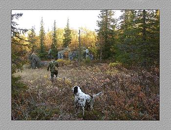 The Hunters, dog, art , field, hunter, autumn, forest, nice HD wallpaper
