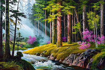 Forest creek, sunshine, river, nature, forest HD wallpaper