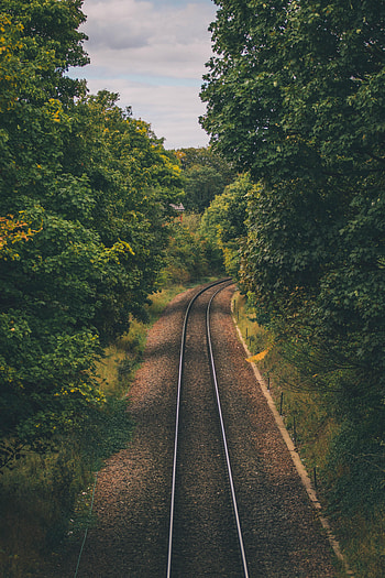 Nature, Trees, View From Above, Rails HD phone wallpaper