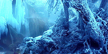 Icy Cold Winter, falls, winter, blue, snow, water, forest, ice HD wallpaper
