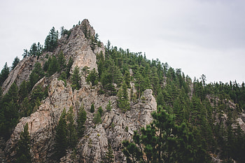 Nature, Trees, Mountain, Vertex, Top HD wallpaper