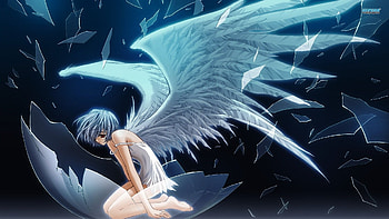 Tags: Neon Genesis Evangelion, Ayanami Rei, , Gainax . HD wallpaper