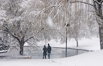 Winter Time, Snowing, Winter, Cold, Snow HD wallpaper