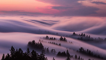Fog Flow And Storm Clouds, fog, clouds, nature HD wallpaper