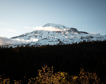 Nature, Trees, Mountain, Vertex, Top, Forest, Snow Covered, Snowbound HD wallpaper