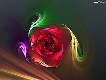 color flower, 3d and cg, abstract HD wallpaper