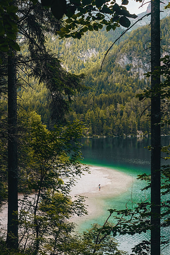 Nature, Mountains, Beach, Lake, Forest HD phone wallpaper