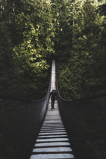 Trees, Miscellanea, Miscellaneous, Forest, Bridge, Human, Person, Suspension Bridge HD phone wallpaper